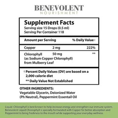 NEW Benevolent Nourishment Liquid Chlorophyll Herbal Supplement 2 oz