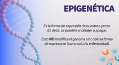 ACTIVZ GNM-X Nrf2 Activator Genetic Cellular Defense, Well-Being EXP 2027-2028