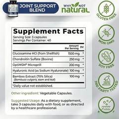 Why Not Natural Glucosamine Chondroitin MSM–Joint Support for Mobility & Comfort