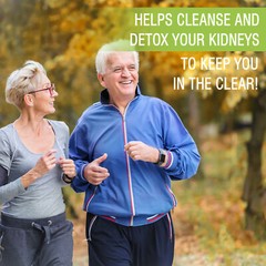Kidney Health & Bladder Support – Detox & Repair, Urinary Tract Health & Bladder