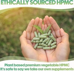 Size 2 Empty Vegan Capsules, 100 Count, Clear – DIY Veggie Pill Filling