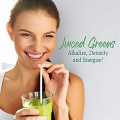 Raw Organic Perfect Food Superfood Greens Powder 14.6 Ounce Vegan Digestive S…