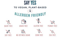 The YES Bar – Dark Chocolate Chip – Plant Based Protein, Decadent Snack Bar –…