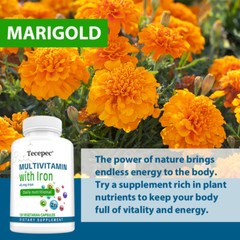 Multivitamin Easy To Swallow Capsule Immune Support Balance Your Energy Levels