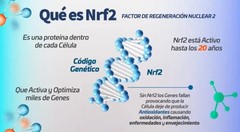 ACTIVZ GNM-X Nrf2 Activator Genetic Cellular Defense, Well-Being EXP 2027-2028