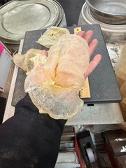 南美洲野生特大7头蝴蝶胶1LB/Bag XL Size Dried South American wild caught fish maw-U.S Seller