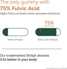 Root Labs Alpha Gummies | 4000mg Shilajit, 60 Gummies, 10-in-1 Formula