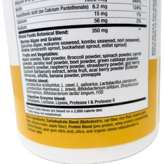 NON GMO Pineapple 10 Day Green Smoothie Powder Drink Mix Wellness Garden