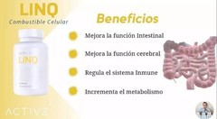 ACTIVZ GNM-X Nrf2 Activator Genetic Cellular Defense, Well-Being EXP 2027-2028