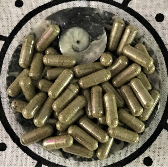 Hemp Protein Capsules – Organic – Non- Non-GMO – Pure as Mother Nature Intended