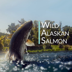 Wild Alaskan Salmon Bone Broth Powder – Pure Protein Organics 5LB Unflavored