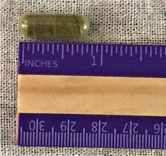 Hemp Protein Capsules – Organic – Non- Non-GMO – Pure as Mother Nature Intended